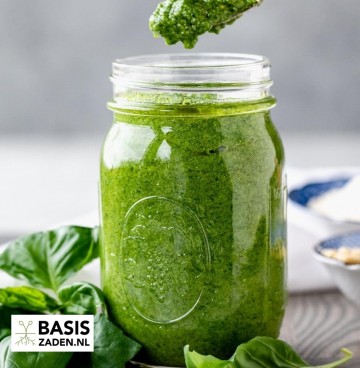 Basilicum Genovese Ocimum basilicum | Basiszaden.nl