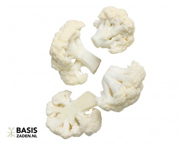 Bloemkool All Year Round Brassica oleracea | Basiszaden.nl