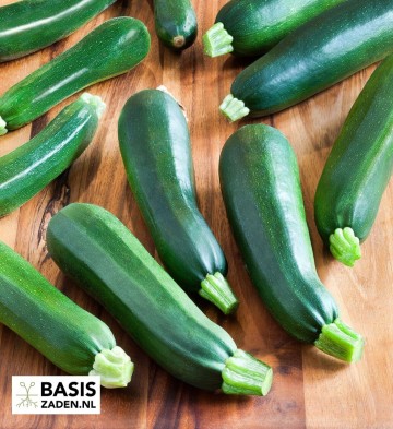 Courgette Black Beauty Cucurbita pepo | Basiszaden.nl