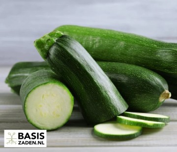 Courgette Black Beauty Cucurbita pepo | Basiszaden.nl