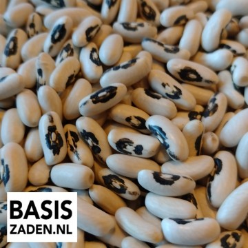 Was of Boterbonen Brittle French Wax Phaseolus vulgaris | Basiszaden.nl