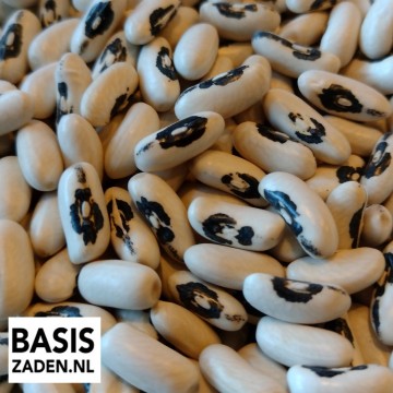 Was of Boterbonen Brittle French Wax Phaseolus vulgaris | Basiszaden.nl