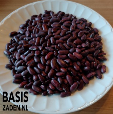 Droogbonen Nier of Kidney Bonen Phaseolus vulgaris | Basiszaden.nl