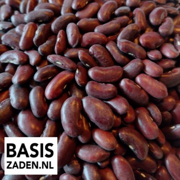 Droogbonen Nier of Kidney Bonen Phaseolus vulgaris | Basiszaden.nl