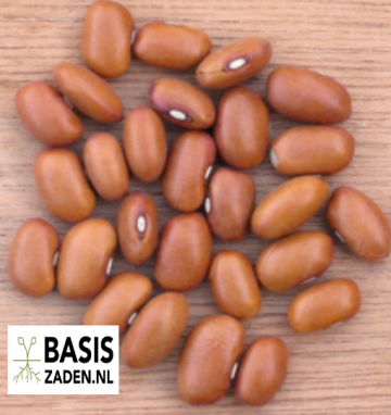 Droogbonen Noordhollandse Bruine Phaseolus vulgaris | Basiszaden.nl