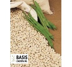Droogbonen Witte Krombek Phaseolus vulgaris | Basiszaden.nl