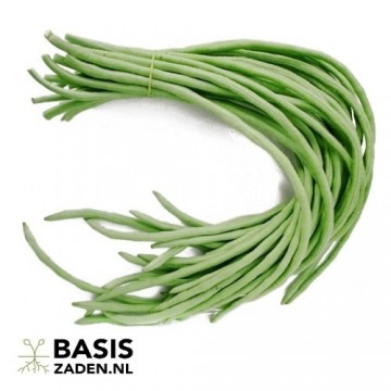 Kouseband Metro Nero Vigna sesquipedalis | Basiszaden.nl