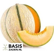 Meloen Charentais Cucumis melo | Basiszaden.nl