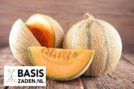 Meloen Charentais Cucumis melo | Basiszaden.nl