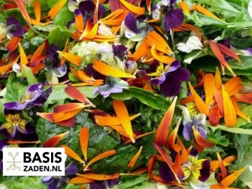 Mengsel eetbare bloemen | Basiszaden.nl