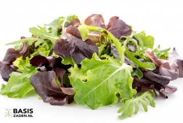 Sla Baby Leaf-mengsel Lactuca | Basiszaden.nl