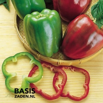 Paprika California Wonder Capsicum annuum | Basiszaden.nl