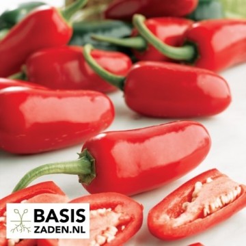 Mexicaanse peper Jalapeno M Capsicum annuum | Basiszaden.nl