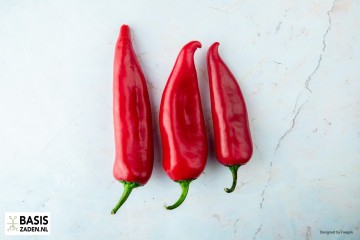 Puntpaprika Rode Koehoorn Capsicum annuum | Basiszaden.nl