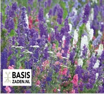 Plukbloemen-pakket | Basiszaden.nl