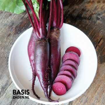 Rode biet Cylindra Beta vulgaris | Basiszaden.nl