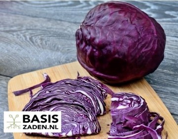 Rode kool Roodkop Brassica oleracea | Basiszaden.nl