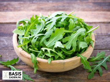 Rucola Eruca sativa | Basiszaden.nl