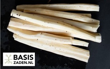 Schorseneer Duplex Scorzonera hispanica | Basiszaden.nl