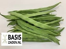 Stamsnijbonen Admires Phaseolus vulgaris | Basiszaden.nl