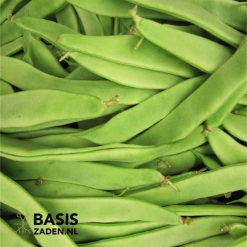 Stoksnijbonen Helda Phaseolus vulgaris | Basiszaden.nl