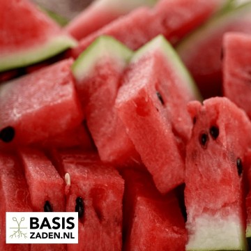 Watermeloen Sugar Baby Citrullus lanatus | Basiszaden.nl