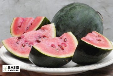 Watermeloen Sugar Baby Citrullus lanatus | Basiszaden.nl