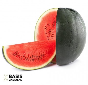 Watermeloen Sugar Baby Citrullus lanatus | Basiszaden.nl
