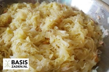 Witte kool Roem van Enkhuizen Brassica oleracea | Basiszaden.nl